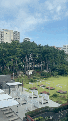  메종 글래드 제주 호캉스 디럭스 트윈룸 7층 TMI 후기 ( 제주 공항 근처 5성급 가성비 호텔 )