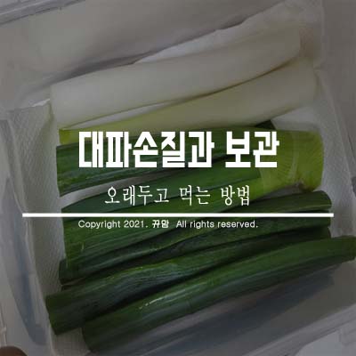  간단한 대파손질과 보관법