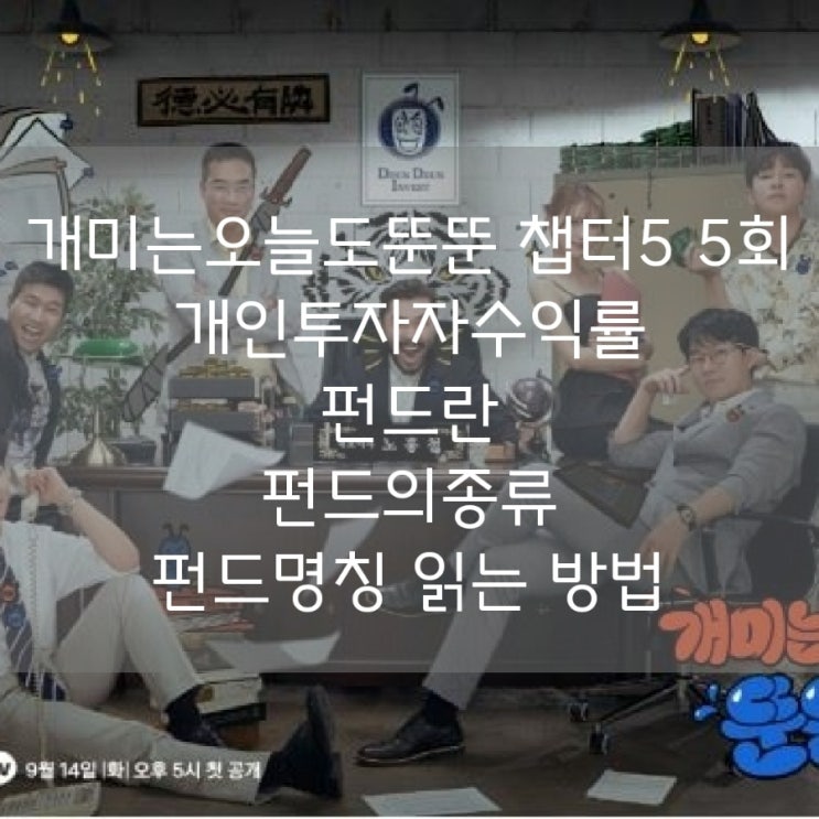  [개미는 오늘도 뚠뚠 챕터5 - 5회] 펀드란 펀드의 종류