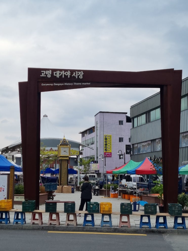  경북 오일장 투어 (고령 대가야시장-4,9일장)