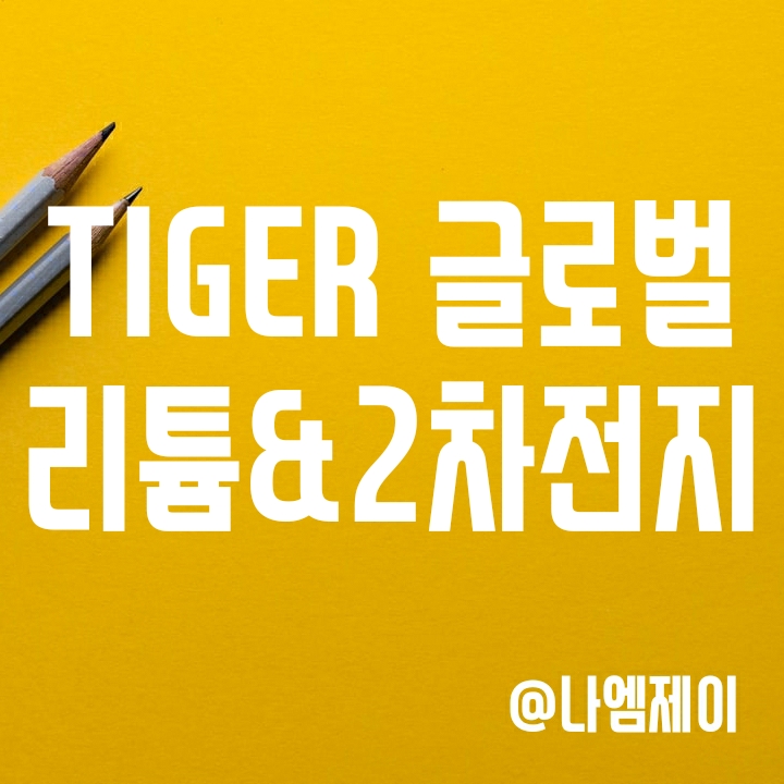 해외 2차전지 관련주에 투자 TIGER글로벌리튬&2차전지 SOLACTIVE (타이거 ETF) 해외 2차전지 관련주에 투자 TIGER글로벌리튬&2차전지 SOLACTIVE (타이거 ETF)