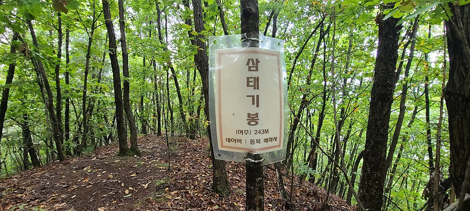 황새뒤뿌렁이산 사진 6