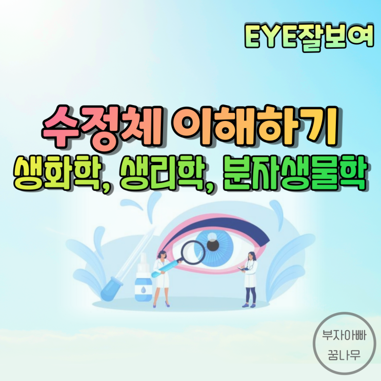  [EYE잘보여] 수정체 생화학, 수정체 생리학, 수정체 분자생물학, 수정체 노화, 수차(Aberration)