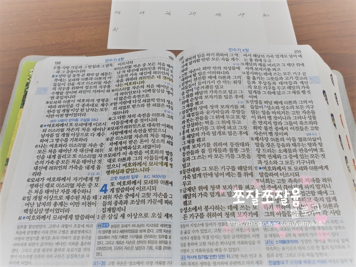  2021년 하반기 말씀일독 시작~