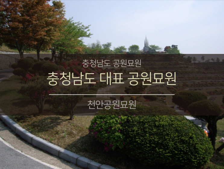 충남권역 대표공원묘원 (feat.천안공원묘원)