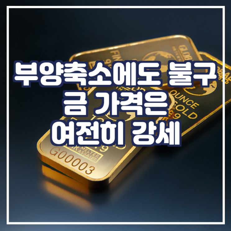  부양축소에도 불구 금은 여전히 강세