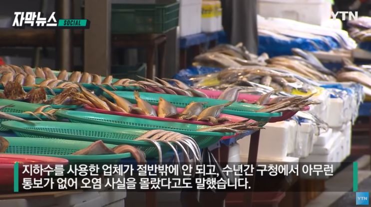  수산시장 생선 오염수 손질 대장균 검출 위생 장염 주의