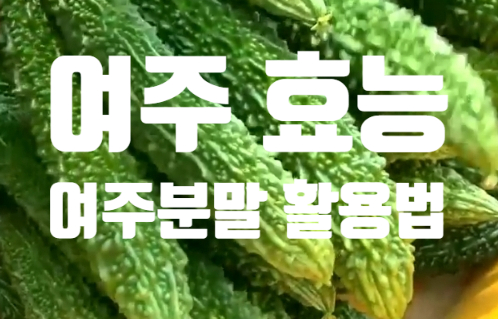  쓴맛 효능 여주 분말 활용법 (ft. 둥굴레차 두부면 국수 요리 만들기)