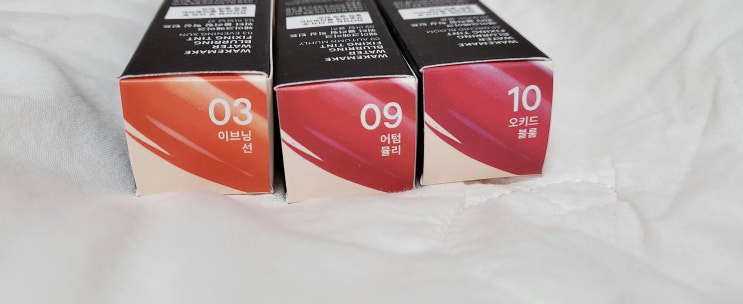  웨이크메이크 워터블러링픽싱틴트 [이브닝선/어텀뮬리/오키드블룸] 간단리뷰