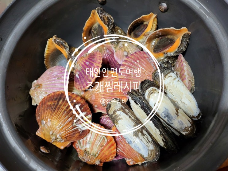  태안 안면도 백사장어촌계 수산시장 은성수산에서 해산물 구매하기!! 가을 제철 홍가리비는 필수~ 조개구이, 조개찜 셀프 맛집!
