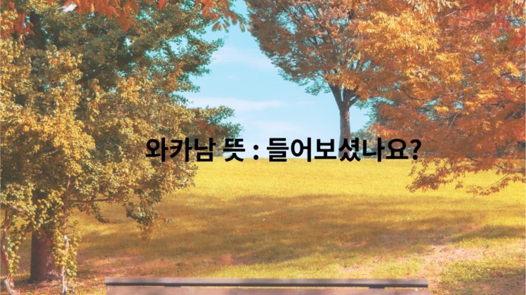 와카남 뜻과 재방 및 모든 정보