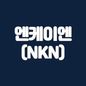 엔케이엔(NKN)코인