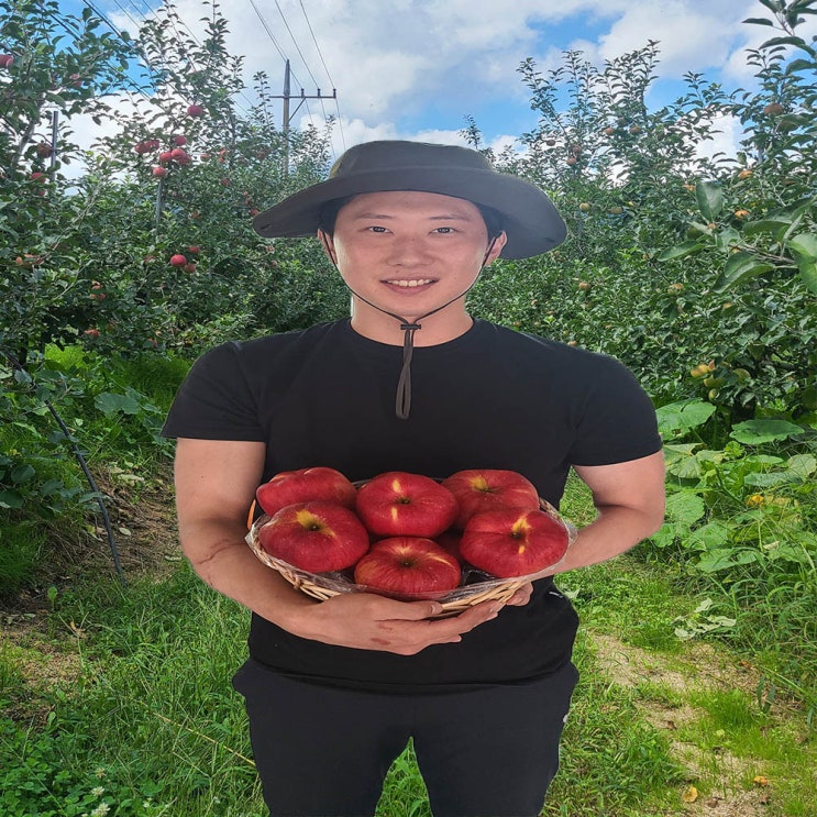  청송 부사사과 가정용 5kg 판매합니다