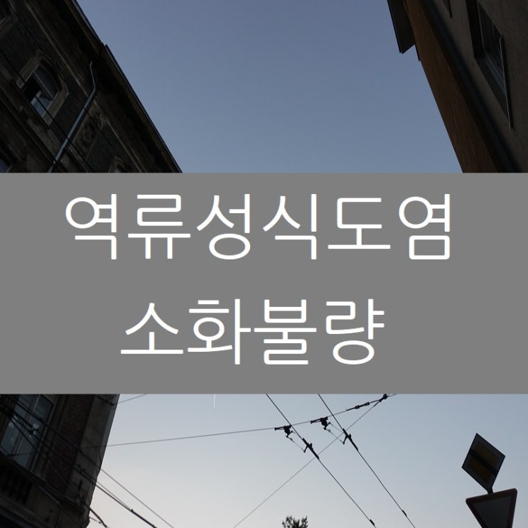  역류성식도염 소화불량 소화제 먹어도 계속된다면