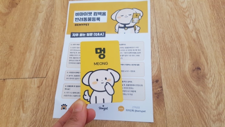  강아지외장칩 반려동물등록: 비마이펫에서 반려동물등록증까지 한 번에!