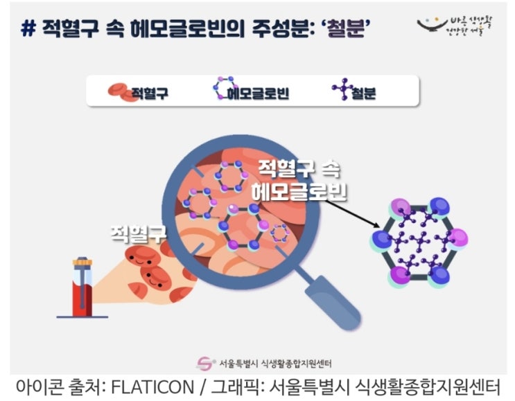 ' 철 ' 들어야 건강하다. 우리 아이들 철분 챙기기.