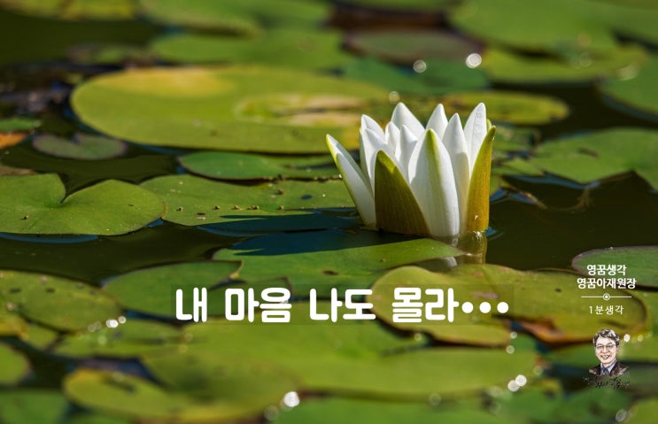  일체유심조와 복잡한 문제, 내가 문제로 바라보면 그게 바로 삶의 문젯거리