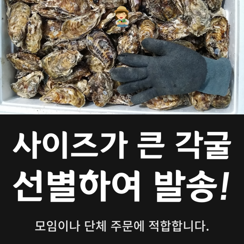 석화 제철에 석화찜과 석화구이의 판매 가격