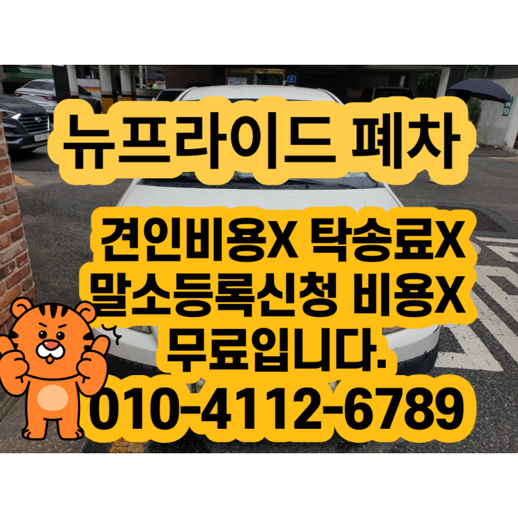  2005년 뉴프라이드폐차 하루만에 보험 해지까지 하기