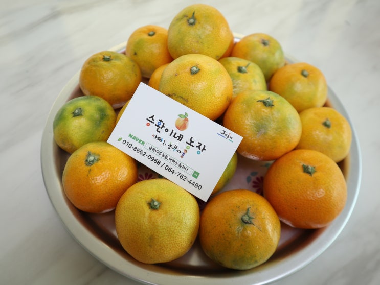 제주감귤 아빠는 농부다 승환이네농장 유라귤