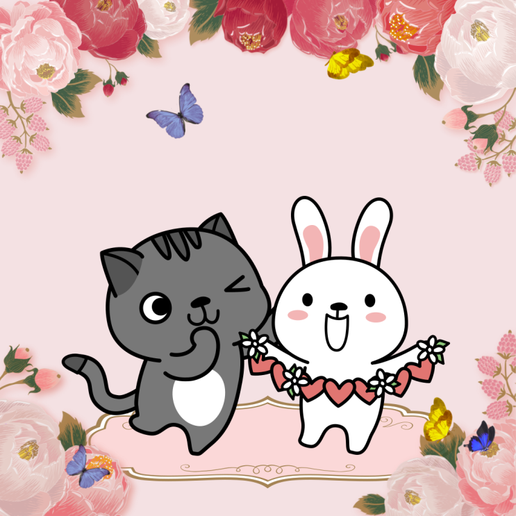  고양이 눈인사 하는법과 집사 신뢰도에 따른 애정표현