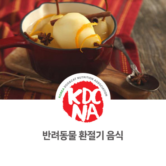  가을 환절기 강아지 고양이 건강 관리 및 식재료 [한국반려동물영양협회/펫영양사/전주/군산/대전/인천/진주/펫푸드자격증/애견수제간식_900]