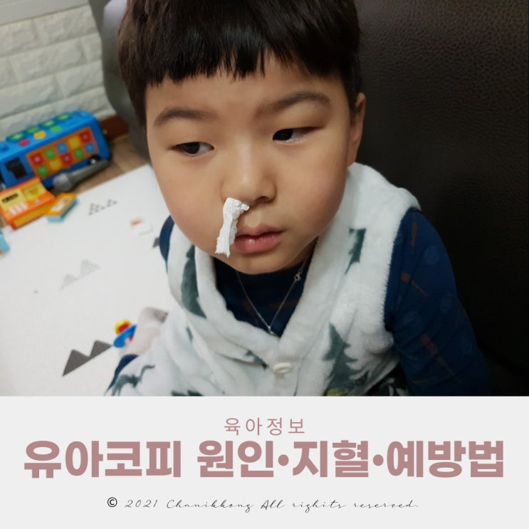  유아코피 코피 자주 나는 아이 케어법