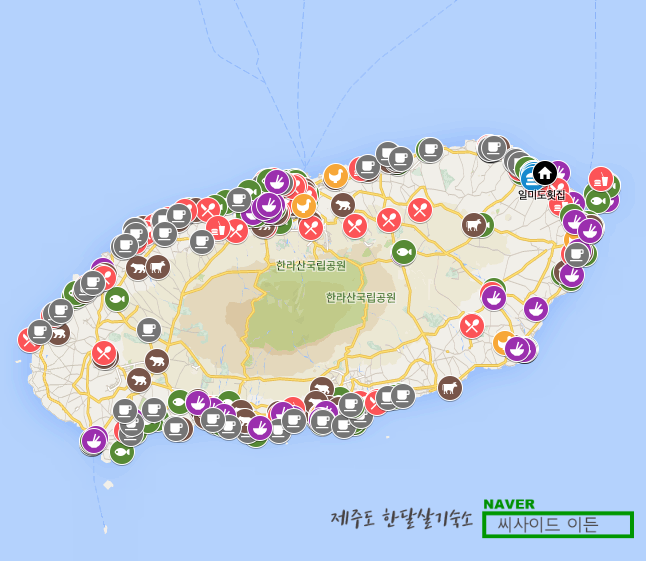  제주시 맛집