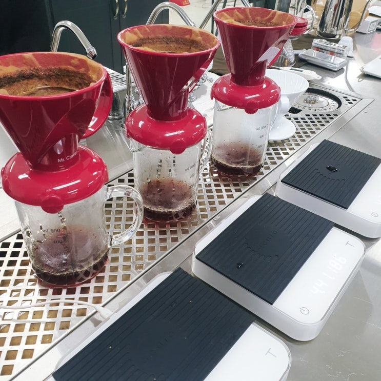  SCA 자격증 AST(감독관)코스 센서리 인터미디어-2 일차[부천스페셜티바리스타학원]