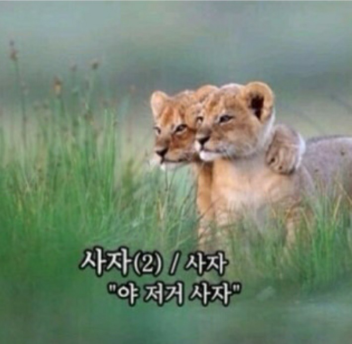  대구 분위기 파악을 위한 임장