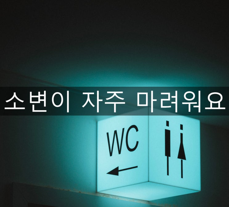  소변 자주 마려움 밤에도 몇 번씩 깨요