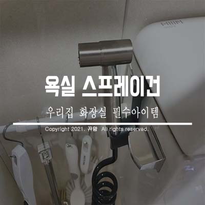  우리집 화장실 아이템 욕실스프레이건
