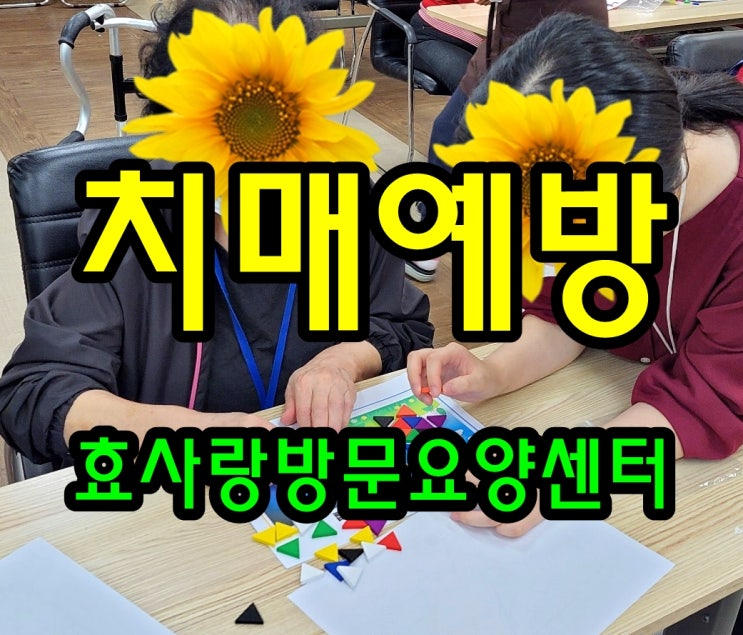  동탄 화성 병점 방문요양 센터/주간보호/효사랑방문요양센터/치매 예방