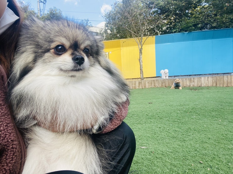  꾸꾸의 유치원 생활