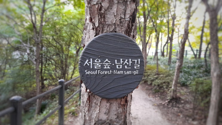  서울 걷기 좋은 서울숲남산길, 독서당 공원에서 매봉산 팔각정까지 (가는 길 안내)