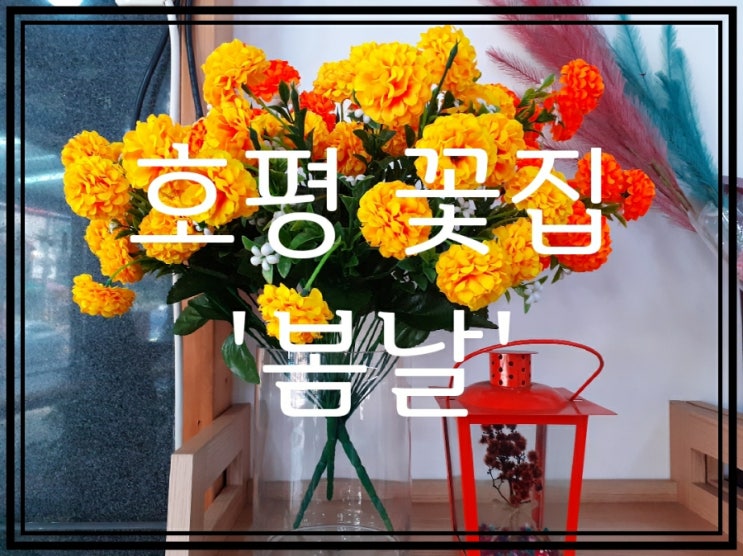  영화에도 나온 평내 호평 예쁜 꽃집 '봄날'