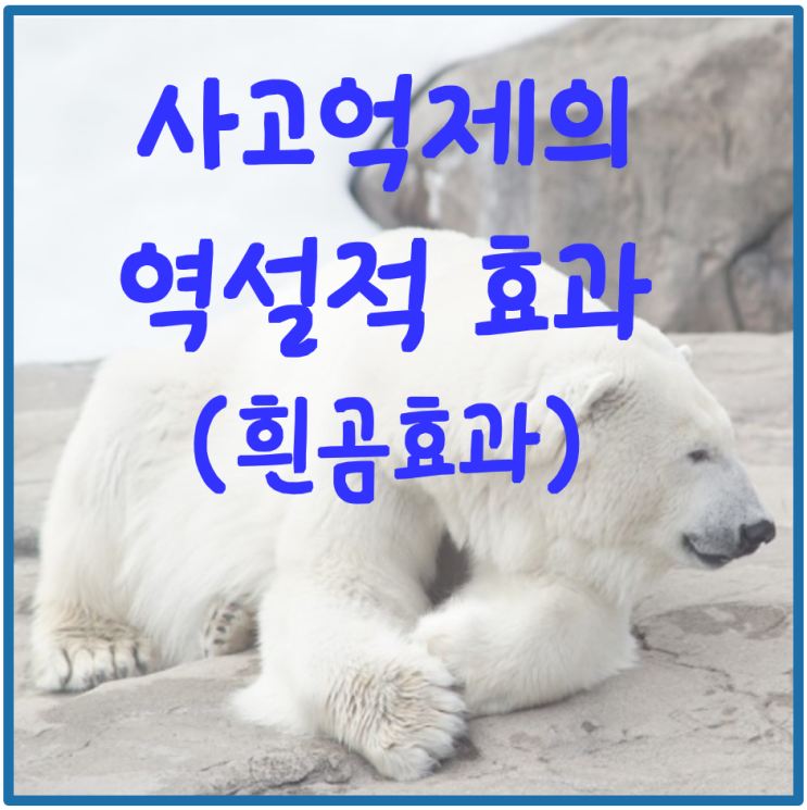  부정적 생각을 멈추는 방법 - 사고 억제의 역설적 효과(흰곰 효과),  원치 않는 생각을 억누르려 하지 마세요.