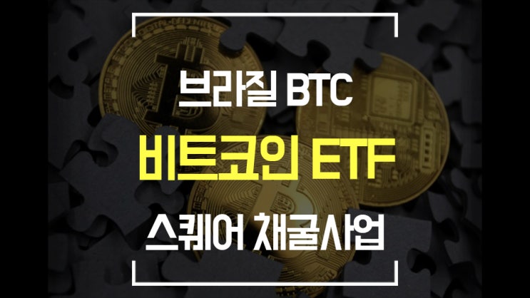  [비트코인] ETF 2종 출시 / 브라질 / 스퀘어 채굴 / 조던피터슨 / 국가별 BTC 보유수량 / BTC 보유 기업