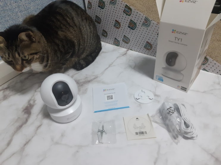  고양이 반려동물 CCTV 가정용 홈카메라 360추천 이지비즈 TY1
