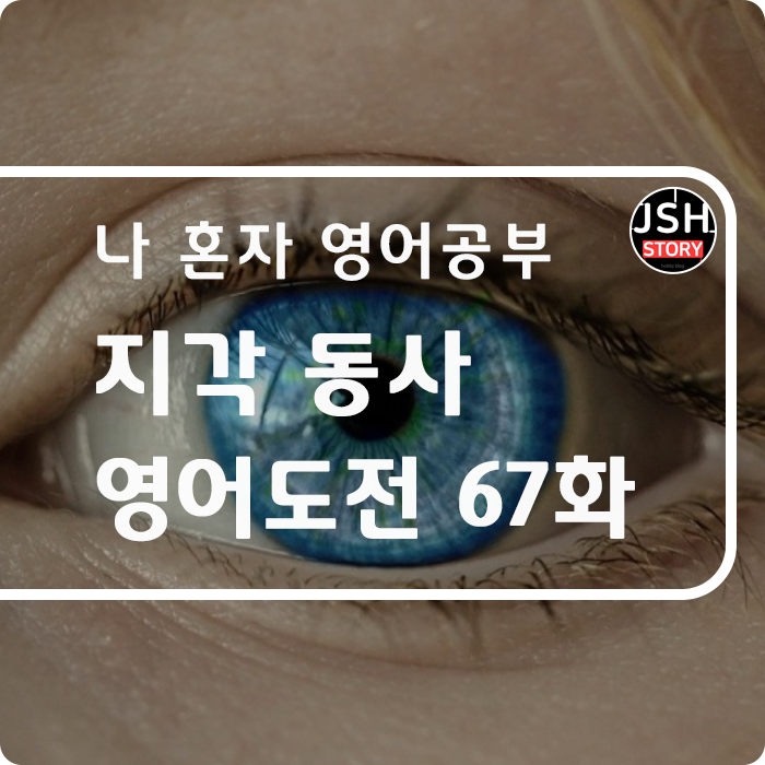 영어도전 제67화 / 지각 동사로 말하기 1 영어도전 제67화 / 지각 동사로 말하기 1