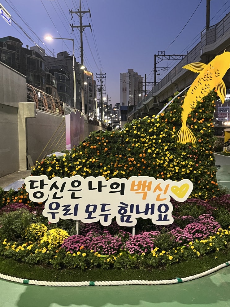  금정구 온천천 가을정원 한번쯤 가볼만하네요!