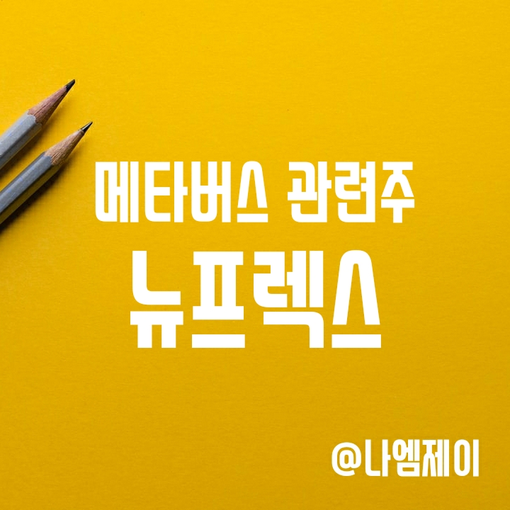 가장 저평가된 메타버스 관련주 - 뉴프렉스 주가 가장 저평가된 메타버스 관련주 - 뉴프렉스 주가