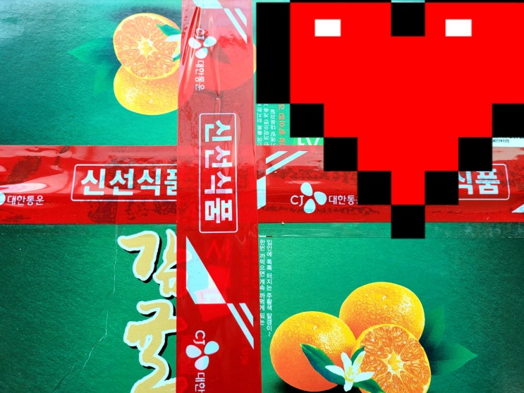  제주 서귀포 조생귤 내돈내산 후기