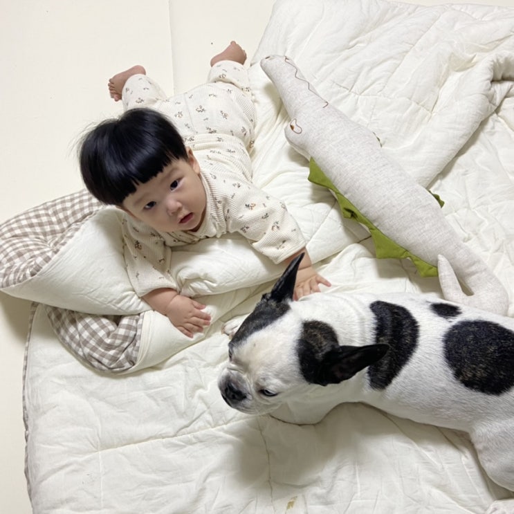  7개월 아기 잠투정 시작, 애착인형시기 맞게 준비