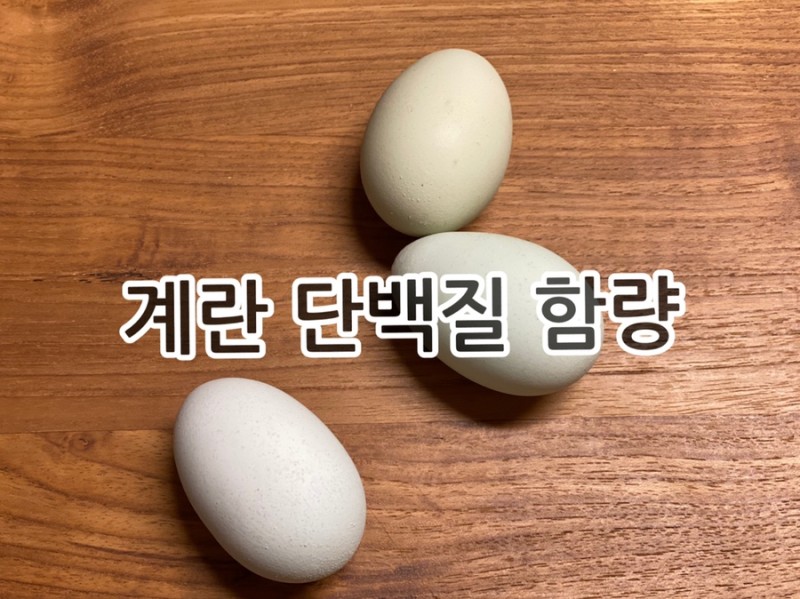 삶은 계란 구운 계란 단백질 함량 / 칼로리 : 네이버 블로그