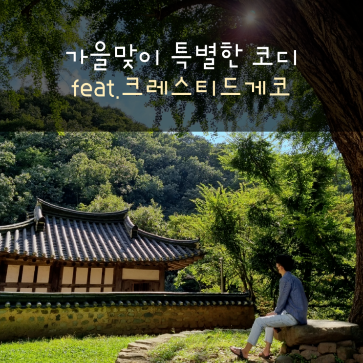  가을 코디