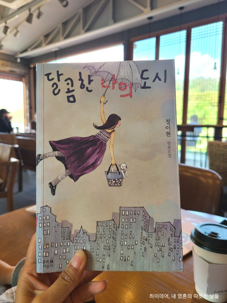  로맨스 소설, 달콤한 나의 도시 _ 오은수는 지금 어떻게 살고 있을까?