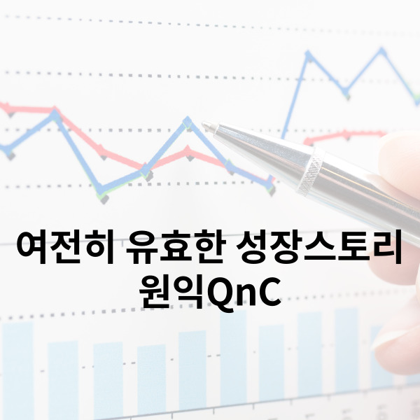  원익QnC 주가 여전히 유효한 중장기 성장스토리