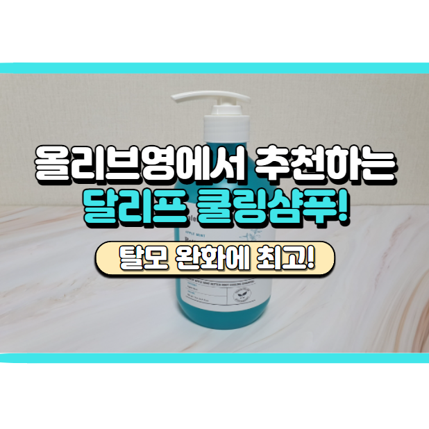  올리브영 클린뷰티로 선정된 달리프 쿨링 샴푸 솔직 후기 (비건 샴푸래요!)