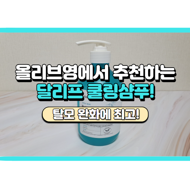 올리브영 클린뷰티로 선정된 달리프 쿨링 샴푸 솔직 후기 (비건 샴푸래요!)